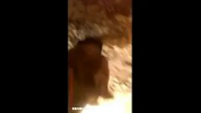 Блондинка на прогулке с любимцем